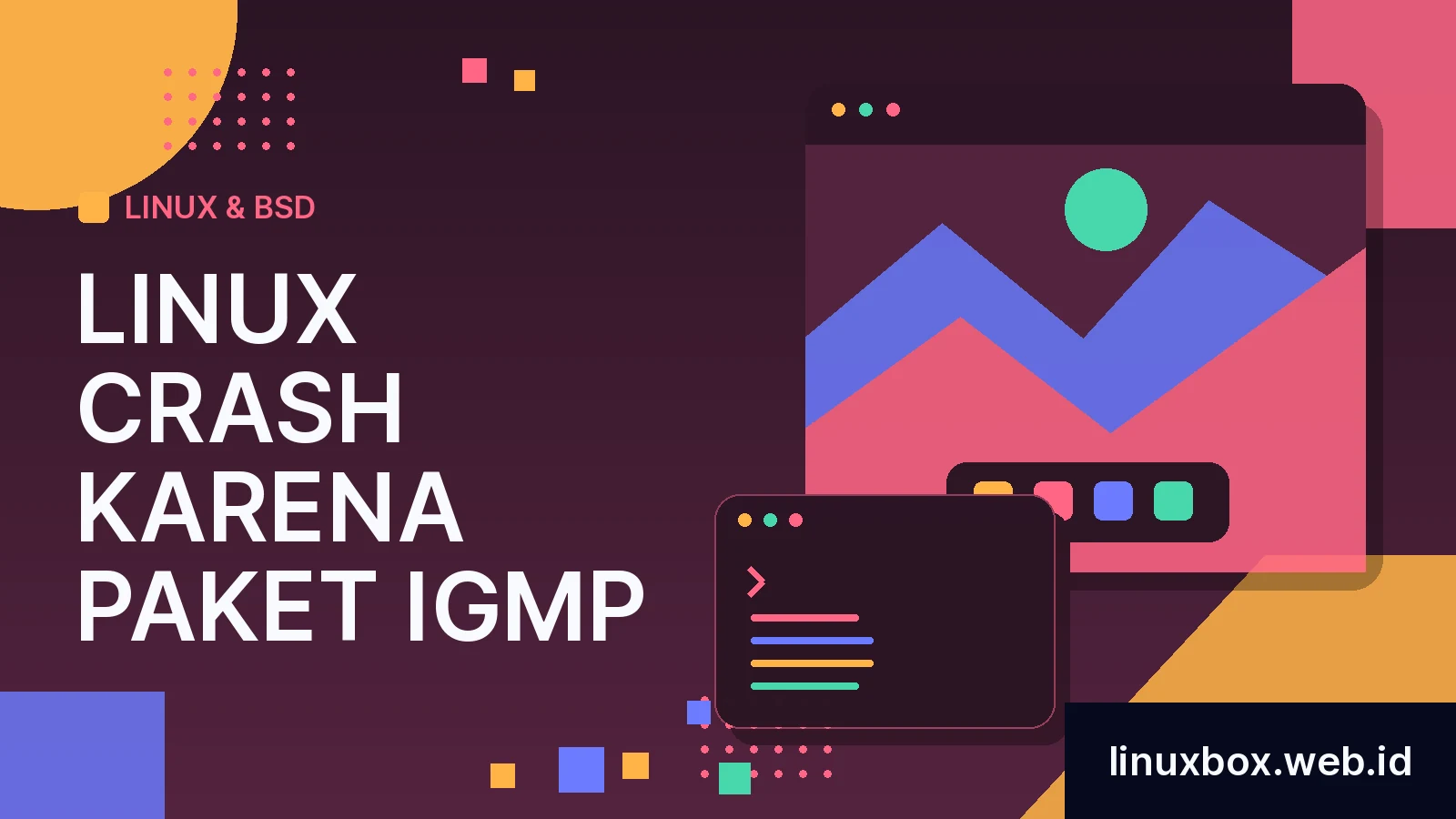 Linux Crash Karena Paket IGMP